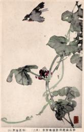 N25121213〇戦前絵葉書○新潟 妙高山麓南遊園地 野草スケッチ その２　絵葉書○和本古書古文書
