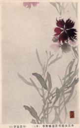 N25121214〇戦前絵葉書○新潟 妙高山麓南遊園地 野草スケッチ その３　絵葉書○和本古書古文書
