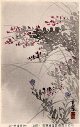 N25121215〇戦前絵葉書○新潟 妙高山麓南遊園地 野草スケッチ その４　絵葉書○和本古書古文書
