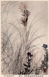 N25121216〇戦前絵葉書○新潟 妙高山麓南遊園地 野草スケッチ その５　絵葉書○和本古書古文書