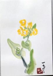 E25120103〇絵葉書  菜の花 村上一光 熊本市 平成３年