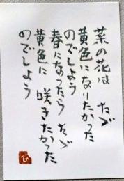 E25120104〇絵葉書  菜の花 村上一光 熊本市 平成３年