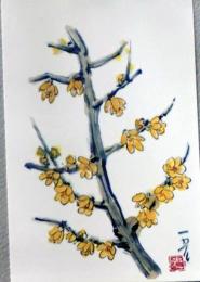 E25120105〇絵葉書  蝋梅 村上一光 熊本市 平成３年