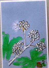 E25120107〇絵葉書 八手の花  村上一光 熊本市 平成３年