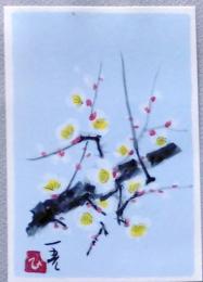 E25120108〇絵葉書  寒梅 村上一光 熊本市 平成３年