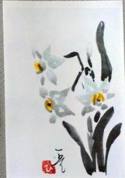 E25120109〇絵葉書 水仙  村上一光 熊本市 平成３年