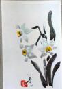 E25120109〇絵葉書 水仙  村上一光 熊本市 平成３年