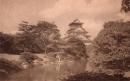 N25121252〇戦前絵葉書○大阪 大阪城公園 (天臨閣付属の)林泉より見る天守閣 大阪城　大阪市役所発行 古写真○和本古書古文書
