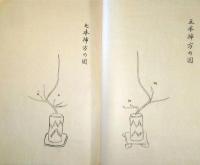 J23010624〇三五七九之伝 遠洲流 華道 １冊 明治〇和本古書古文書