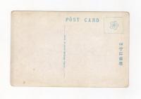 N23081103〇戦前絵葉書　○大東京　明治神宮御本殿　○和本古書古文書
