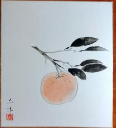 f23091114〇複製 色紙 奥村土牛 密柑 現代大家色紙１２ヶ月 大塚工芸社 昭和時代〇和本古書古文書