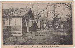 N23092134○戦前絵葉書　○平和記念東京博覧会（大正11年・上野公園）　第一会場　文化村　○和本古書古文書