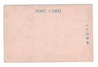 N23092134○戦前絵葉書　○平和記念東京博覧会（大正11年・上野公園）　第一会場　文化村　○和本古書古文書