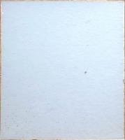
f23101873〇色紙 柏亭書 昭和期〇和本古書古文書

色紙 柏亭書 昭和期〇和本古書古文書
270x240mm  
１枚       
汚れ シミが有ります。
