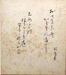 f23101875〇色紙 柏亭書 昭和期〇和本古書古文書