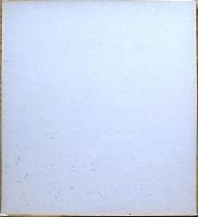 f23101877〇色紙 柏亭書 昭和期〇和本古書古文書