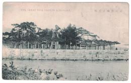 N23120632〇戦前絵葉書 ○滋賀県琵琶湖　近江唐崎の老松 ○和本古書古文書
