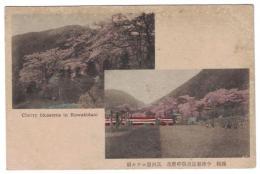 N23121114〇戦前絵葉書 ○箱根　小涌谷温泉場の桜花　三河屋ホテル前（ハガキは使用済9.3.1の消印）　○和本古書古文書