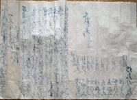f23122502〇写本 古文書 金子借用田地書入証文の事 文政７年 細尾村 栃木県〇和本古書古文書 