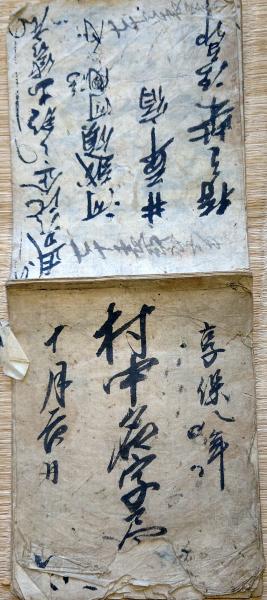 保科正之: 徳川将軍家を支えた会津藩主 (中公文庫 な 46-5