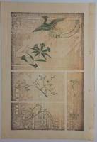 n24012120〇風俗研究 第１００号 百号記念・御大礼号 口絵:小忌衣文様彩色木版画１枚　昭和御即位式大嘗祭図外写真4頁　風俗研究所 江馬務 昭和３年　〇和本古書古文書

