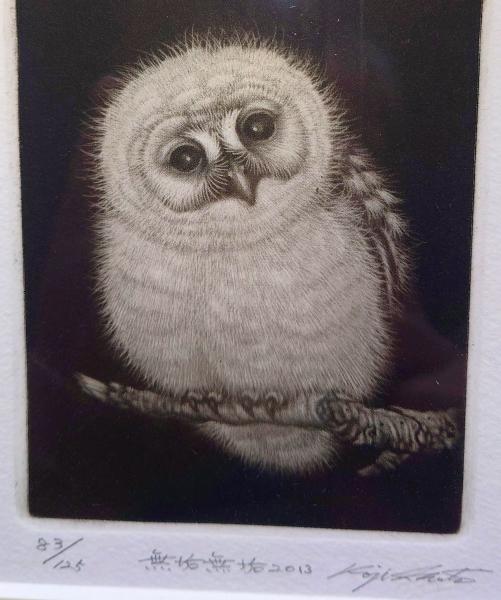 格安新品  f24022021〇額装 生田宏司 愛らしい 無垢無垢 ふくろう 銅版画 絵画