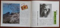 J2402045常陽芸文 常陽藝文 通巻第１３１号　桜と天狗の山・愛宕山 岩間愛宕山の今昔　平成６年1994年４月号〇和本古書古文書
