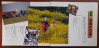 J2403028○常陽芸文 常陽藝文 通巻第１９３号　特集　茨城の方言　平成１１年1999年６月号〇和本古書古文書
