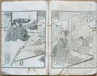 F19111802〇小説 妹と背鏡 坪内逍遥 第２号 明治１９年〇和本 古書 古文書