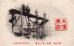 N24073008〇戦前絵葉書　○神奈川県　相州江の島　稚児ケ淵の噴潮（海食崖 桟橋木道 見物者）○和本古書古文書
