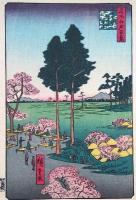f24080015〇名所江戸百景 彩色木版画 浮世絵 歌川広重 日暮里諏訪の台  複刻昭和年代〇和本古書古文書