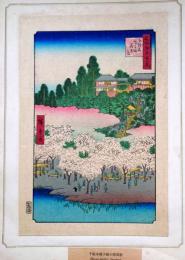 f24080016〇名所江戸百景 彩色木版画 浮世絵 歌川広重 千駄木團子坂花屋敷  複刻昭和年代〇和本古書古文書