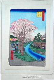 f24080042〇名所江戸百景 彩色木版画 浮世絵 歌川広重 玉川堤の花  複刻昭和年代〇和本古書古文書
