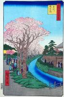 f24080042〇名所江戸百景 彩色木版画 浮世絵 歌川広重 玉川堤の花  複刻昭和年代〇和本古書古文書