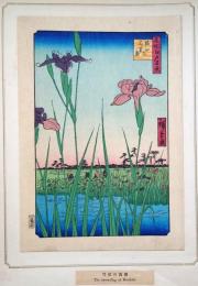 f24080057〇名所江戸百景 彩色木版画 浮世絵 歌川広重 堀切の花菖蒲  複刻昭和年代〇和本古書古文書