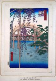 f24080058〇名所江戸百景 彩色木版画 浮世絵 歌川広重 亀戸天神境内  複刻昭和年代〇和本古書古文書