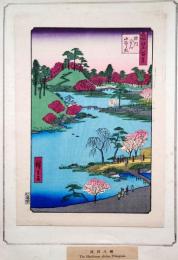 f24080060〇名所江戸百景 彩色木版画 浮世絵 歌川広重 深川八まん山ひらき  複刻昭和年代〇和本古書古文書