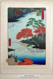 f24080092〇名所江戸百景 彩色木版画 浮世絵 歌川広重 請地秋葉の境内  複刻昭和年代〇和本古書古文書