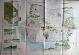 f24061406〇三河国全図 明治初期 橋本玉蘭斉画図 須原屋善藏藏板 日本地図選集 江戸時代日本国絵図選要 人文社 平成２年〇和本古書古文書
