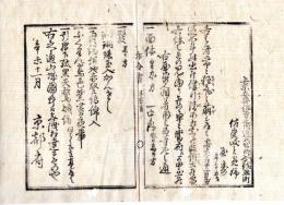 N24110641〇明治布告布達 明治４年辛未　人相書 着用の品 上京五番組寺之内通大猪熊町佐受岐と免(さづき とめ)姉 屋寿(やす)35歳 常々狂気の萌し○京都府 京都府布令書○和本古書古文書

