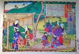 f2412111063〇彩色画浮世絵 印刷 大日本物産図会 １枚  京都府 山城宇治茶摘之図  一立斎広重明治１０年原画作  光彩社昭和５４年印刷