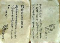 f25012908〇古文書 地所取調書 入間建 埼玉県 明治５年〇和本古書古文書
