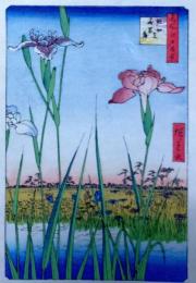 f25020702〇絵葉書サイズ 名所江戸百景 彩色木版画 浮世絵 歌川広重 堀切の花菖蒲 複刻昭和年代〇和本古書古文書