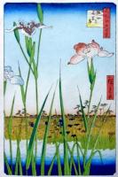 f25020702〇絵葉書サイズ 名所江戸百景 彩色木版画 浮世絵 歌川広重 堀切の花菖蒲 複刻昭和年代〇和本古書古文書