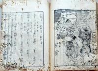 f25022176〇女重宝記 全５巻揃 絵図入 弘化４年〇和本古書古文書