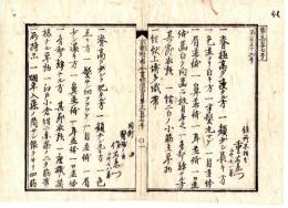 N25030141〇明治布告布達 明治６年 人相書 手配書 重右栄門 作右栄門 留吉の３名 船頭角野長五郎が大阪港積込の荷物奪取逃亡 和歌山県 ○司法省布達 京都府布令書〇和本古書古文書
