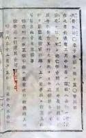f25060317〇明治布告布達 人相書 手配書 岩手県  栃木県 明治７年〇和本古書古文書