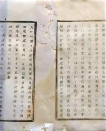 f25061130〇明治布告布達 山形県最上郡 手配書 人相書  栃木県 明治７年〇和本古書古文書
