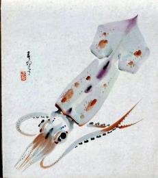 D25100503〇彩色木版画画 色紙  烏賊の図 樺山春翠  昭和年代〇和本古書古文書〇和本古書古文書