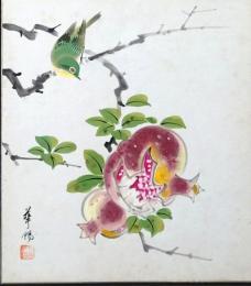 D25100517〇彩色木版画画 色紙   ざくろ 飯田華陽 昭和年代〇和本古書古文書〇和本古書古文書